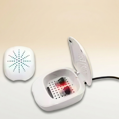 Electric Drying Case
